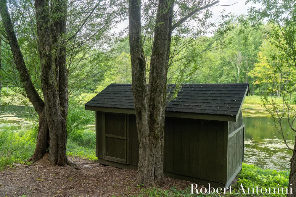 4751 S Johnson Road Montcalm Township, MI 49326