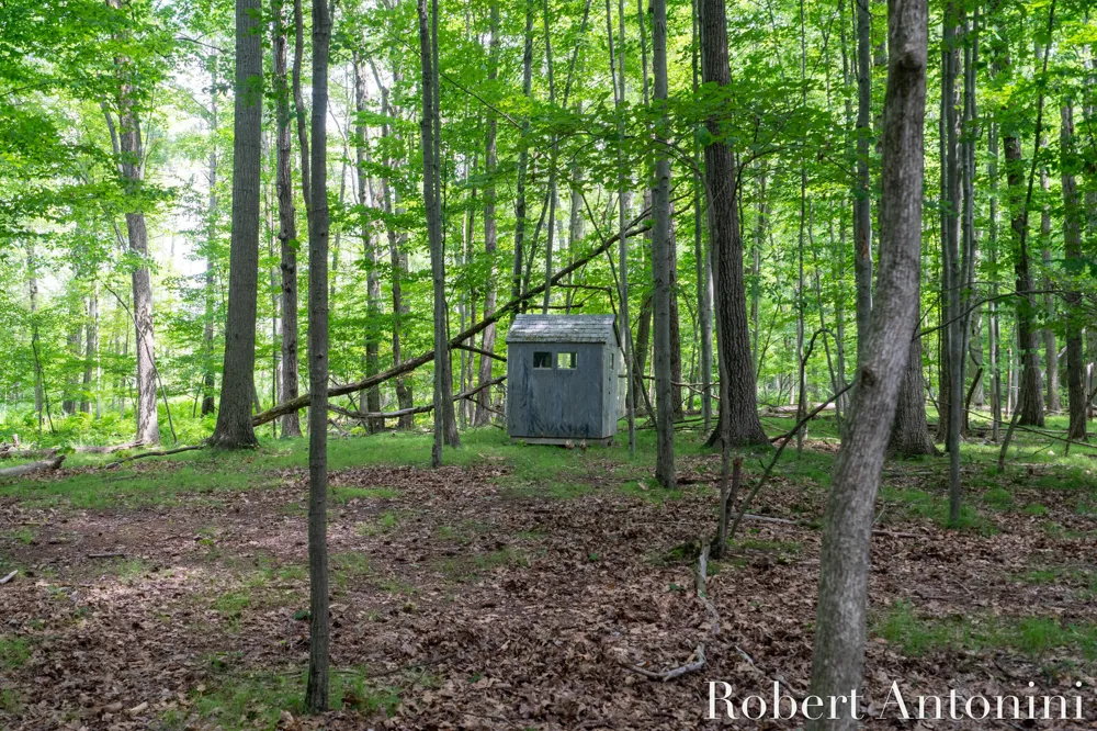 4751 S Johnson Road Montcalm Township, MI 49326