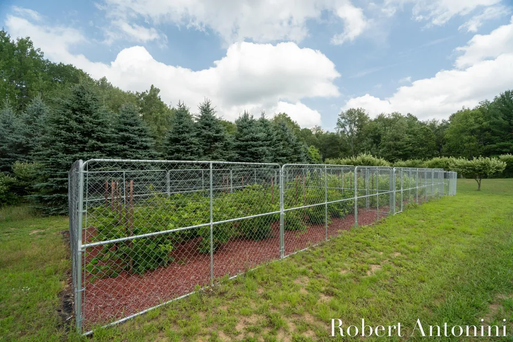 4751 S Johnson Road Montcalm Township, MI 49326