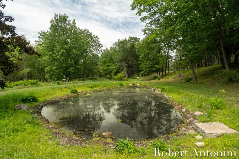 4751 S Johnson Road Montcalm Township, MI 49326