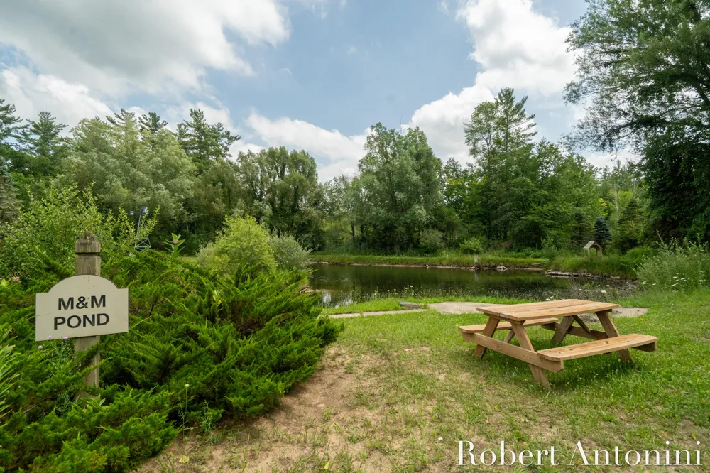 4751 S Johnson Road Montcalm Township, MI 49326