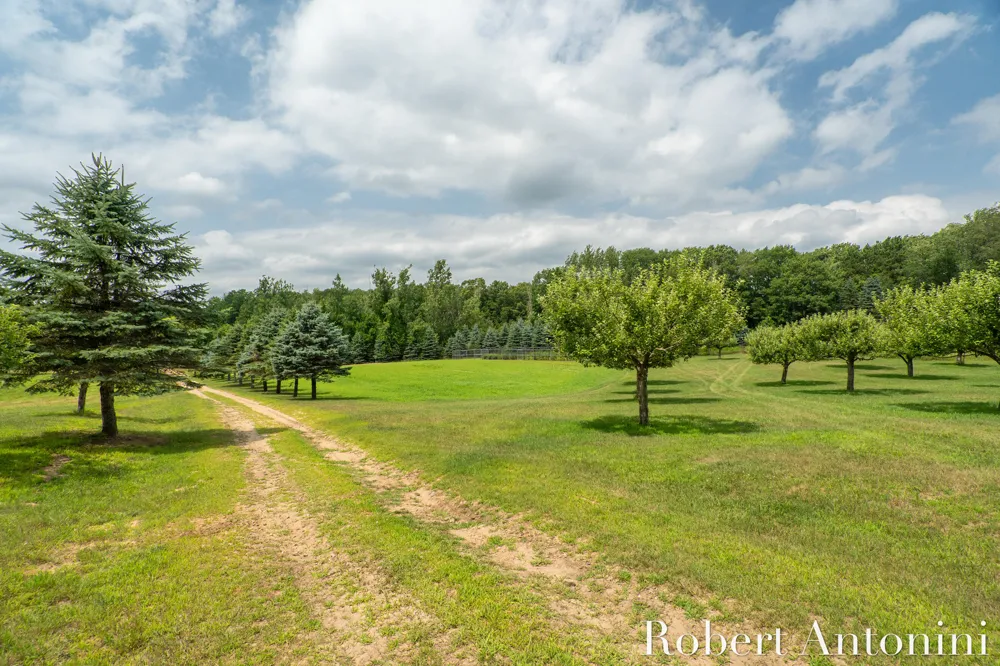 4751 S Johnson Road Montcalm Township, MI 49326