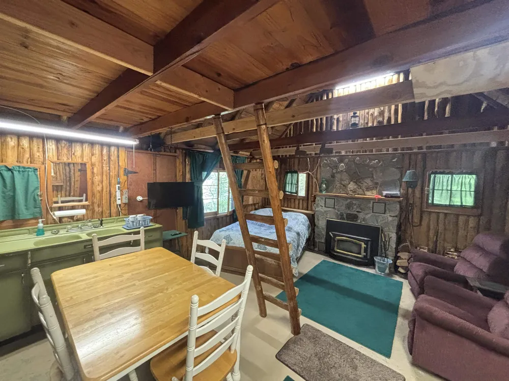 1321 Bayview Drive Torch Lake Township, MI 49648
