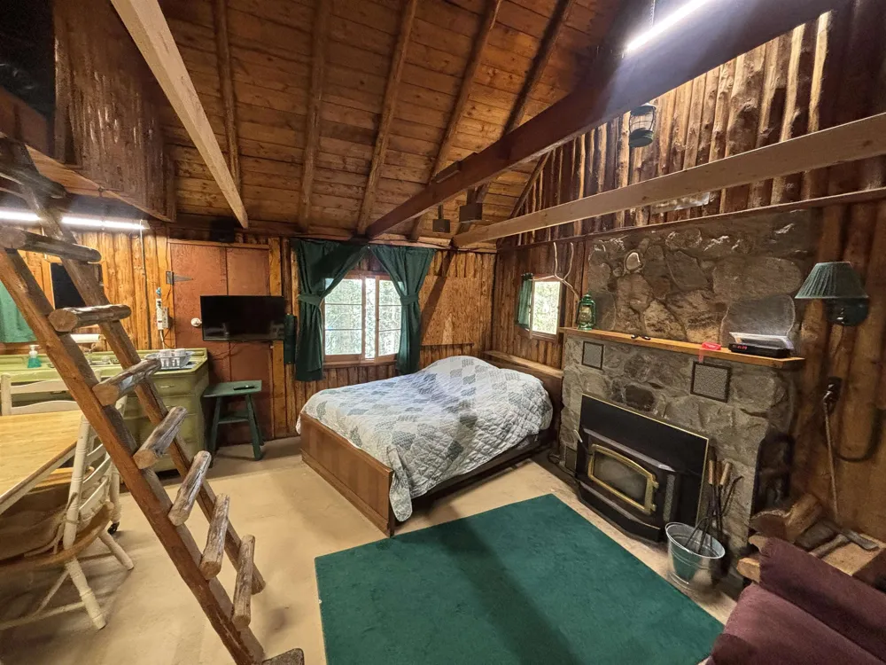1321 Bayview Drive Torch Lake Township, MI 49648