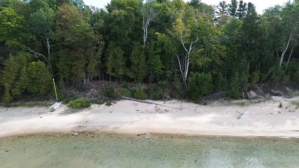 1321 Bayview Drive Torch Lake Township, MI 49648