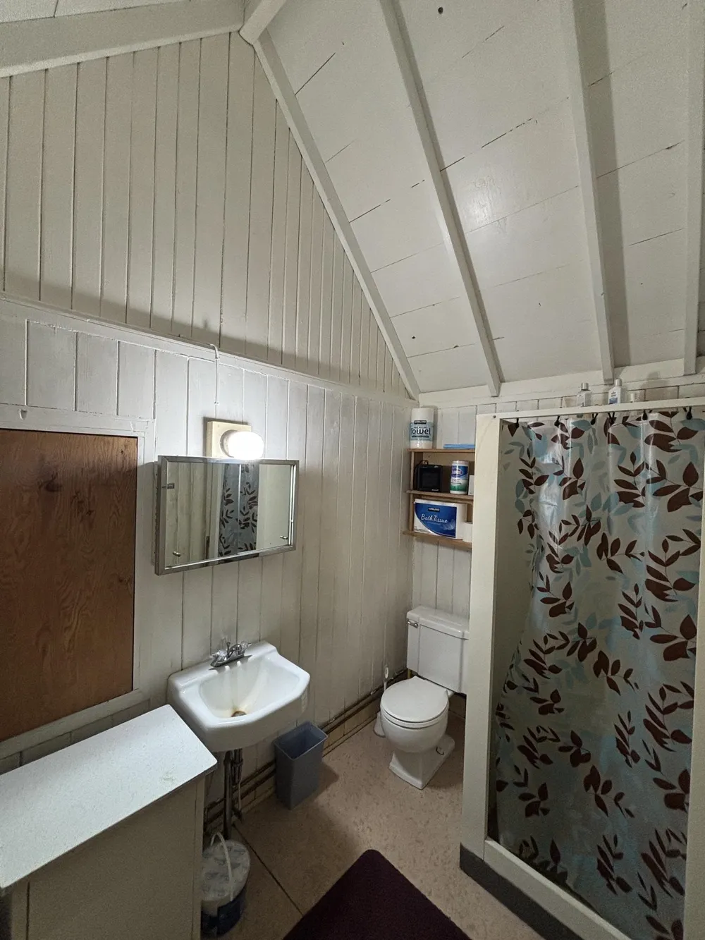 1321 Bayview Drive Torch Lake Township, MI 49648