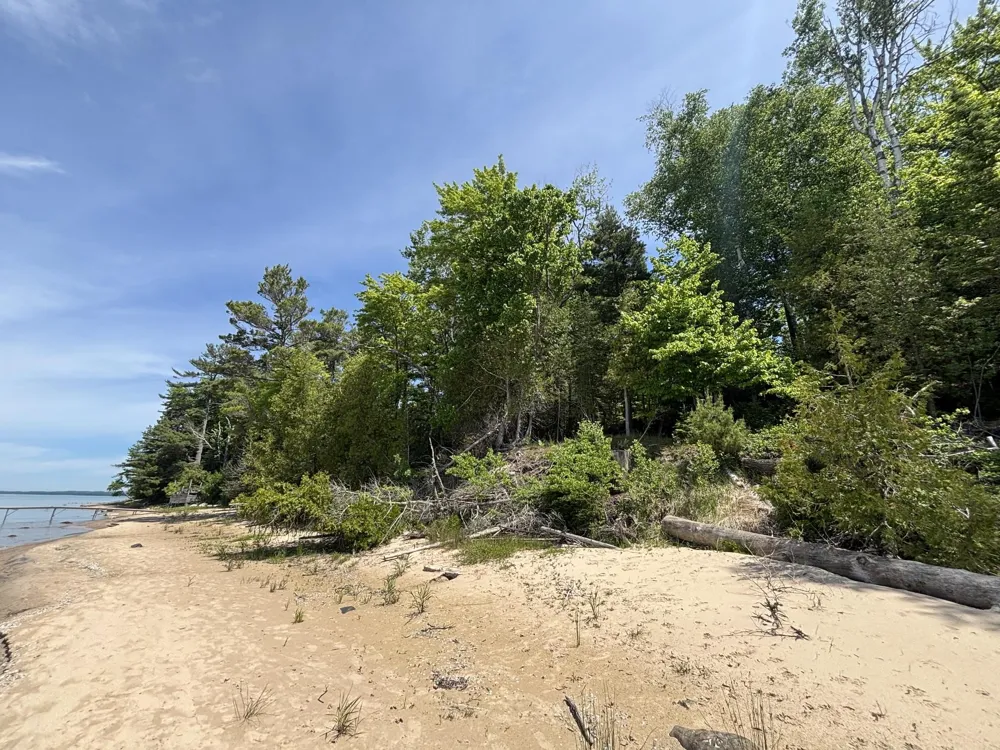 1321 Bayview Drive Torch Lake Township, MI 49648