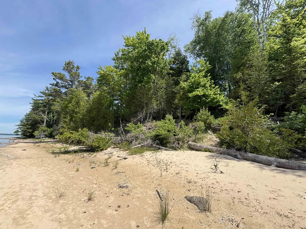 1321 Bayview Drive Torch Lake Township, MI 49648