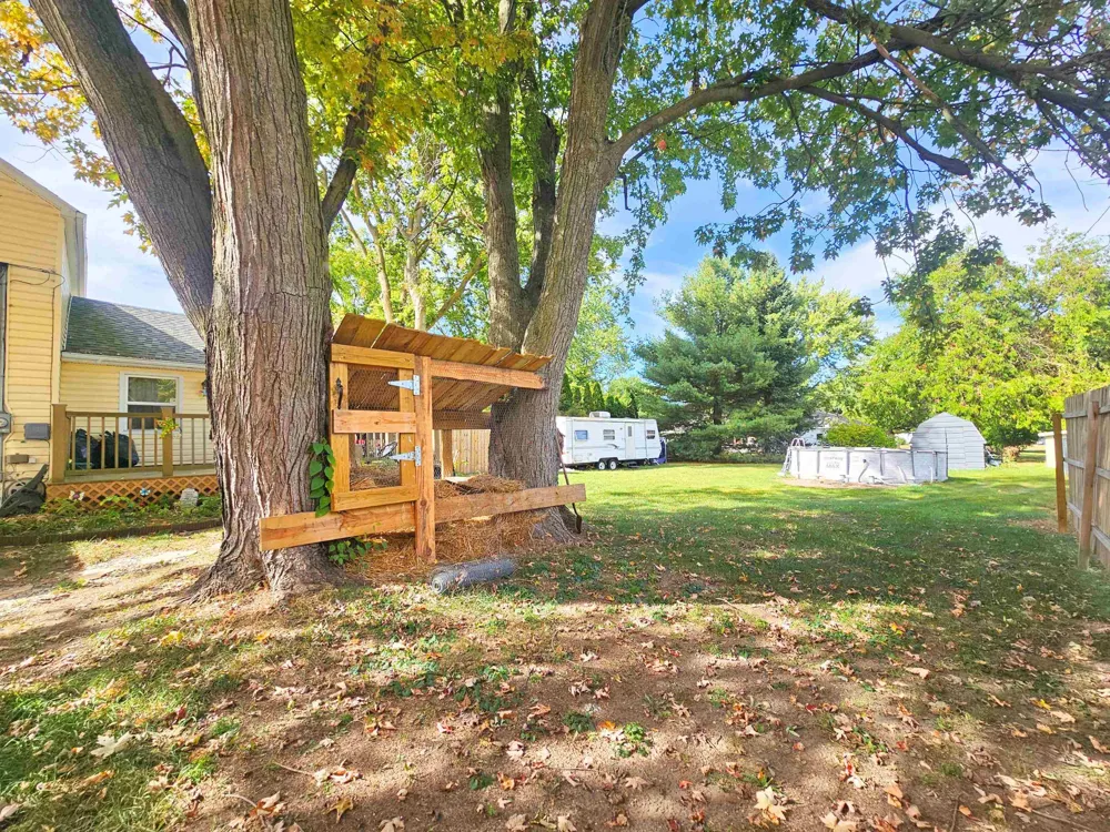 204 W Pine Street Elsie Village, MI 48831