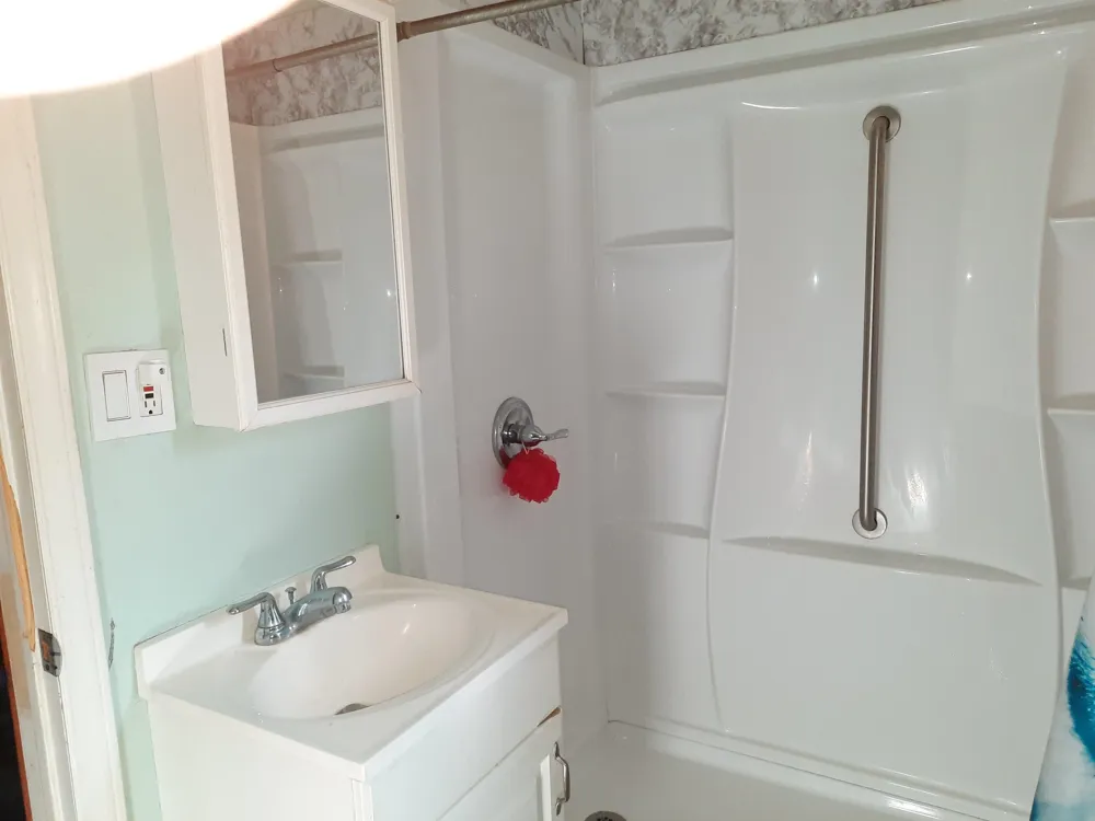 204 W Pine Street Elsie Village, MI 48831