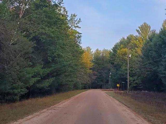 Buffalo Trail Moffatt Township, MI 48610