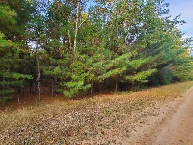 Buffalo Trail Moffatt Township, MI 48610