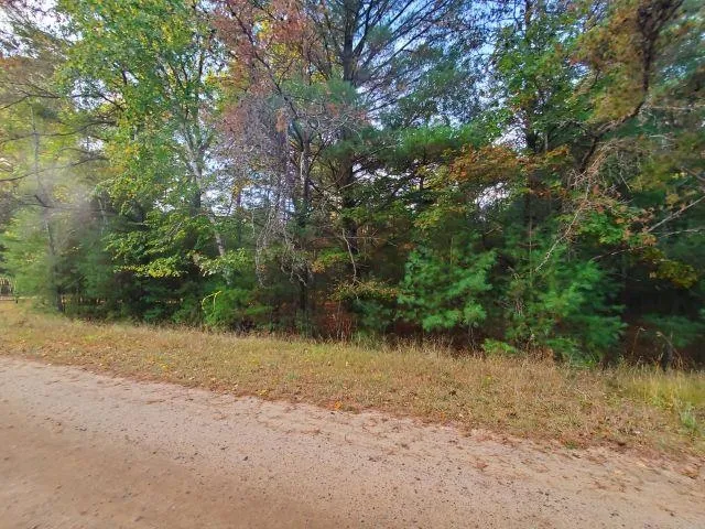 Buffalo Trail Moffatt Township, MI 48610