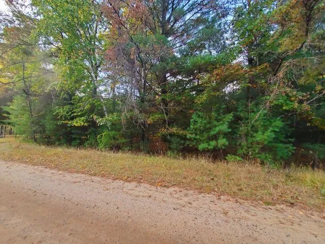 Buffalo Trail Moffatt Township, MI 48610