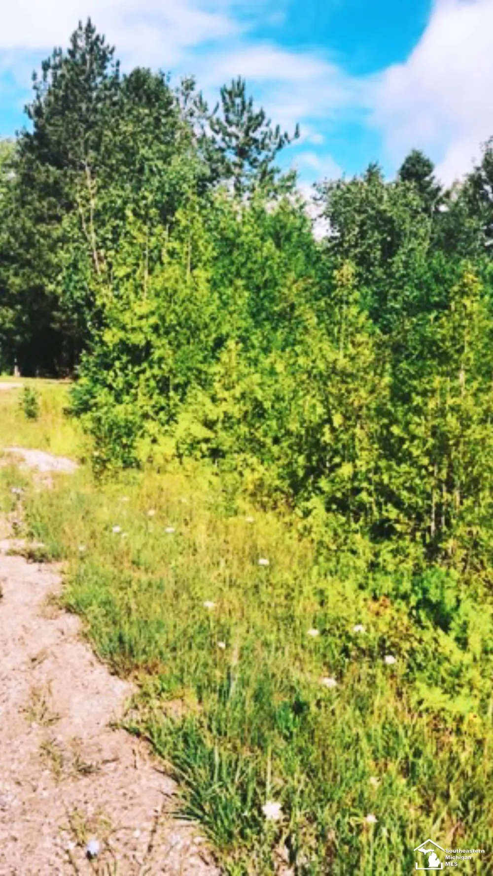 grace harbor Road Bearinger Township, MI 49765