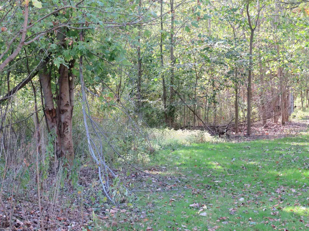 50279 North Avenue Macomb Township, MI 48042