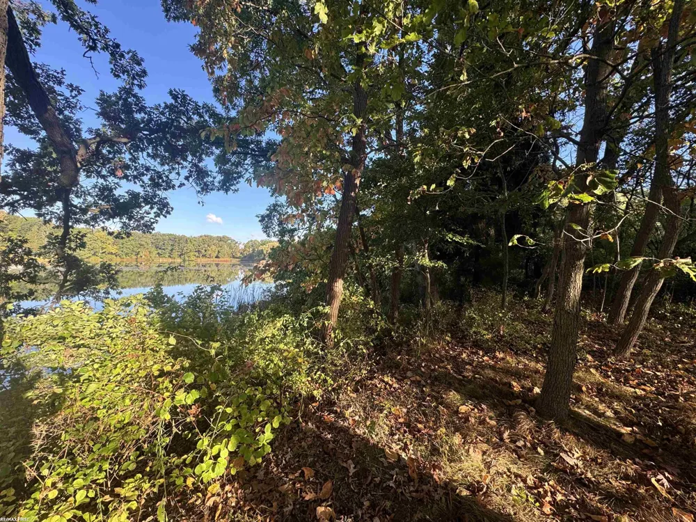 Round Lake Lane Leonard Village, MI 48367