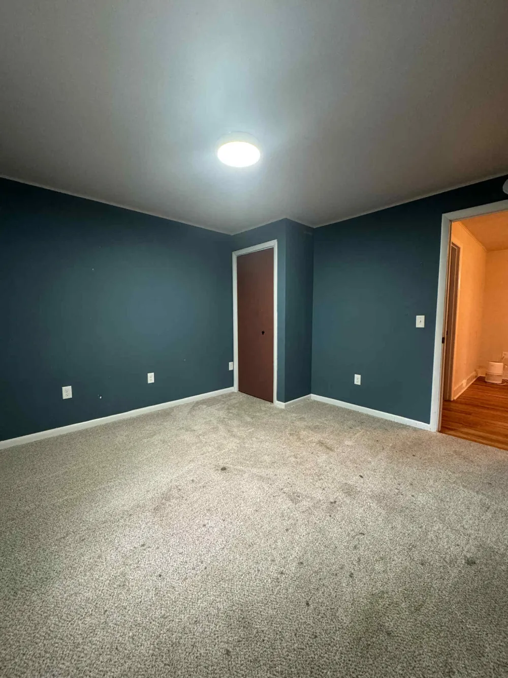 117 Lovell Street Schoolcraft Village, MI 49087