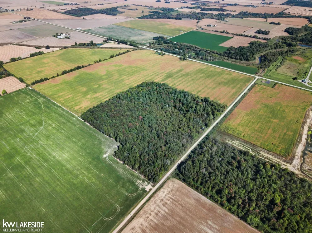 E Eddy Road Bridgehampton Township, MI 48419