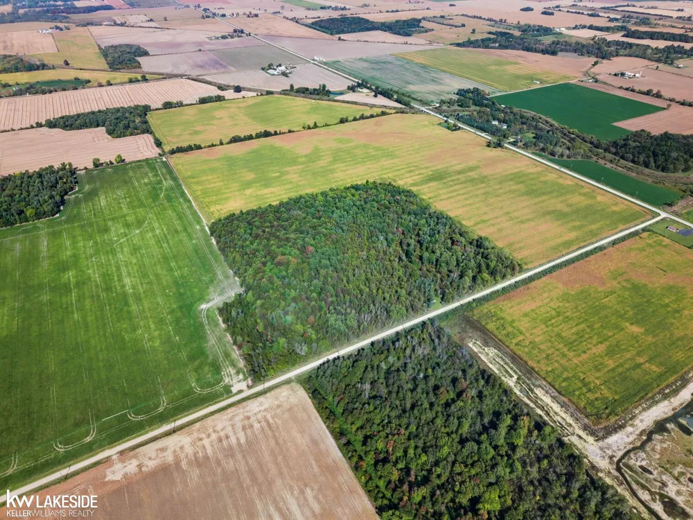 E Eddy Road Bridgehampton Township, MI 48419