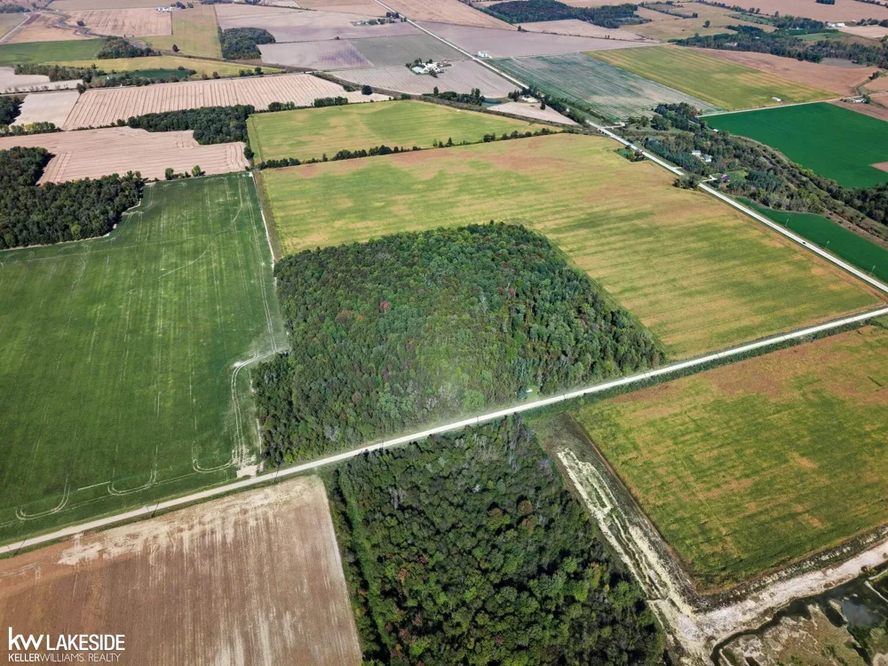 E Eddy Road Bridgehampton Township, MI 48419