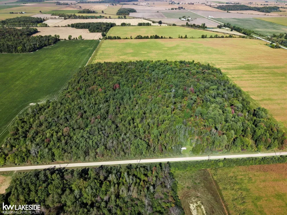E Eddy Road Bridgehampton Township, MI 48419