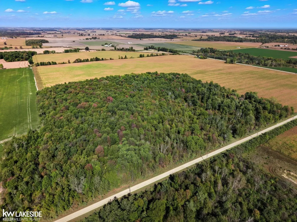 E Eddy Road Bridgehampton Township, MI 48419