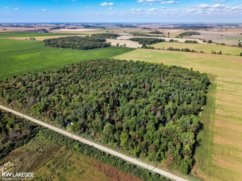E Eddy Road Bridgehampton Township, MI 48419
