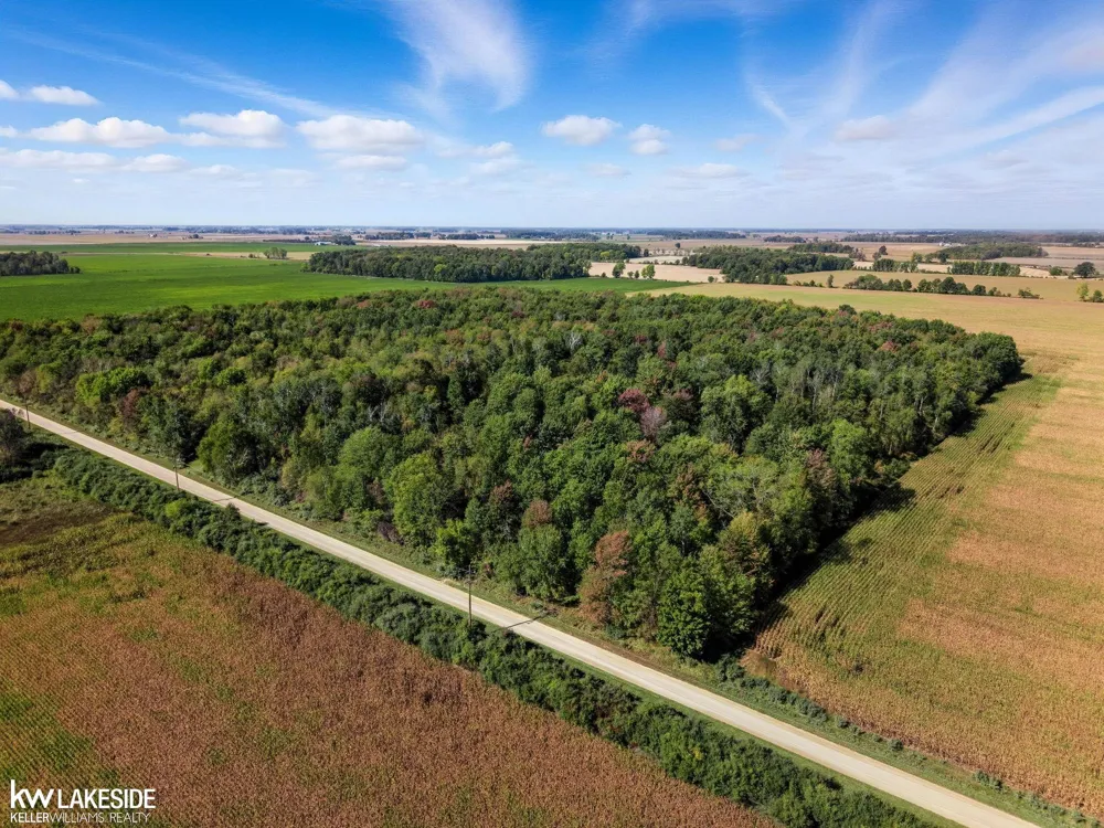 E Eddy Road Bridgehampton Township, MI 48419