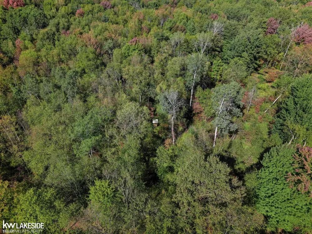 E Eddy Road Bridgehampton Township, MI 48419