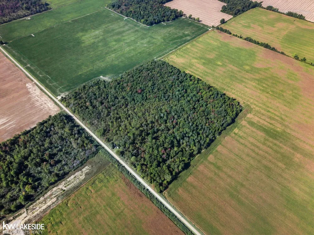 E Eddy Road Bridgehampton Township, MI 48419
