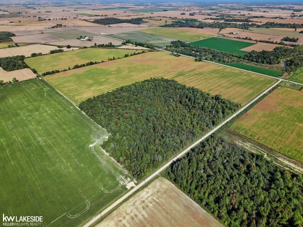 E Eddy Road Bridgehampton Township, MI 48419