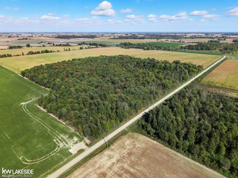 E Eddy Road Bridgehampton Township, MI 48419