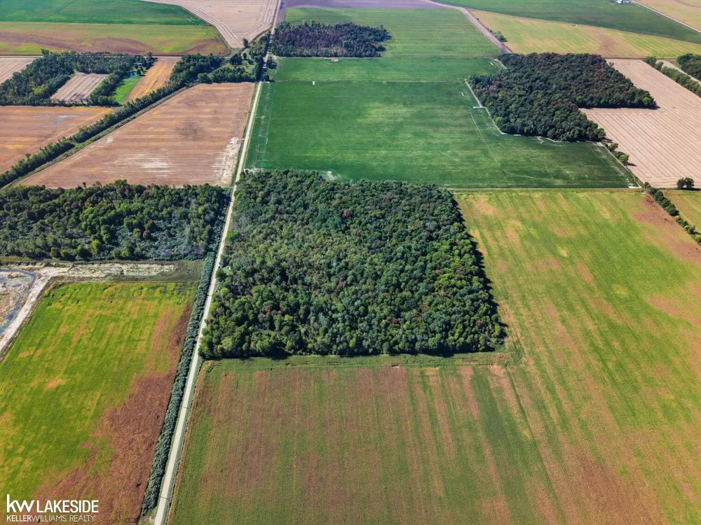 E Eddy Road Bridgehampton Township, MI 48419