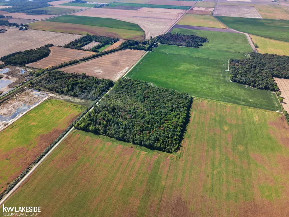 E Eddy Road Bridgehampton Township, MI 48419