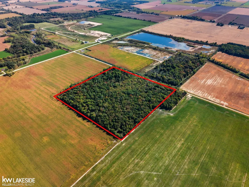 E Eddy Road Bridgehampton Township, MI 48419