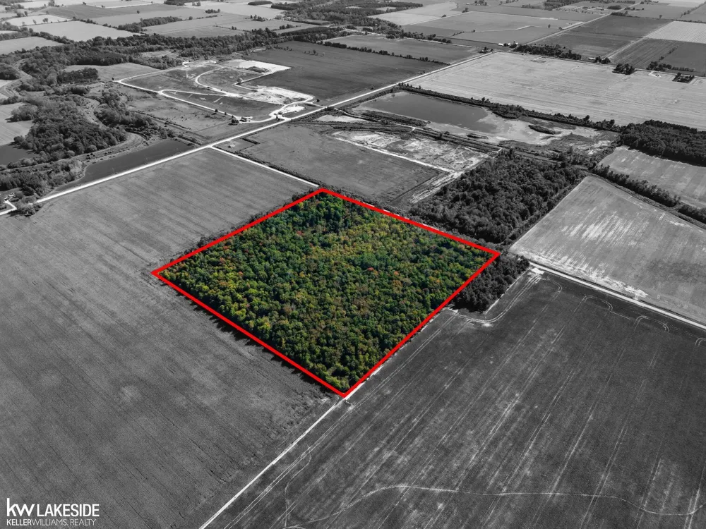 E Eddy Road Bridgehampton Township, MI 48419