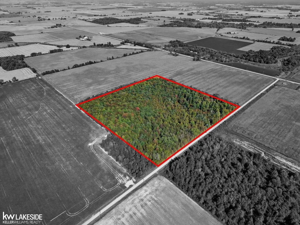 E Eddy Road Bridgehampton Township, MI 48419