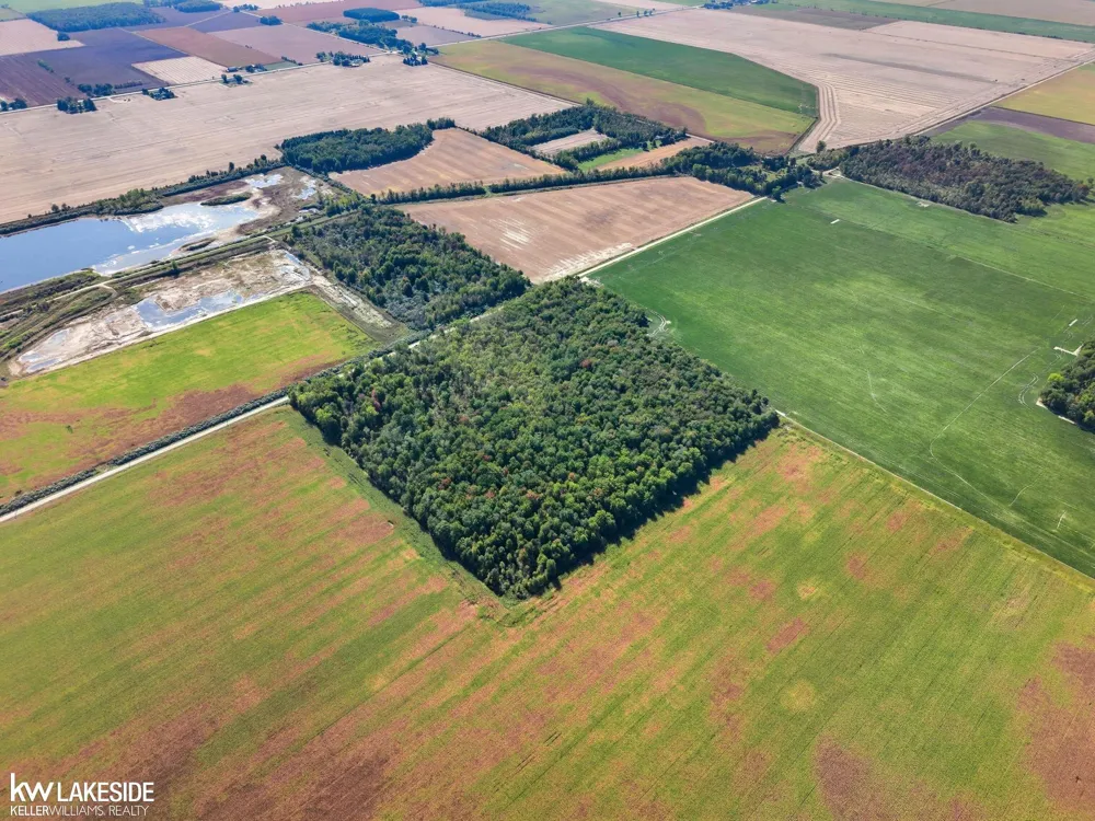E Eddy Road Bridgehampton Township, MI 48419