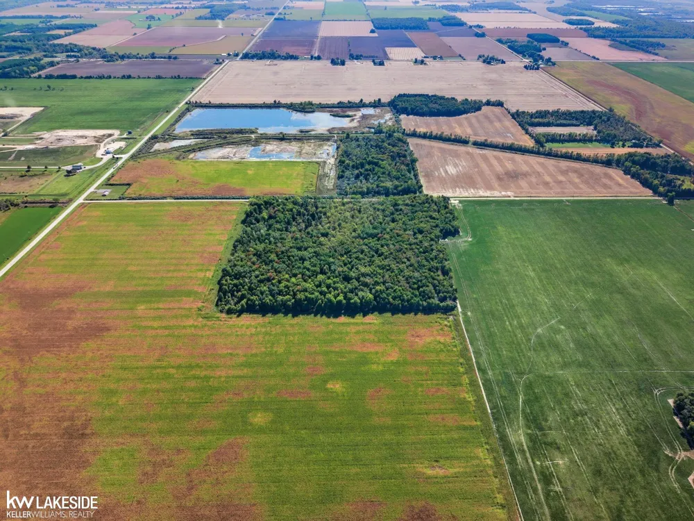 E Eddy Road Bridgehampton Township, MI 48419