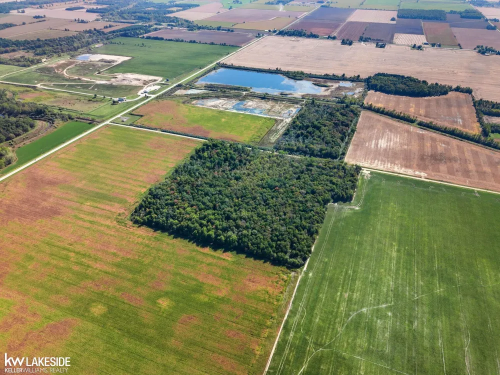 E Eddy Road Bridgehampton Township, MI 48419