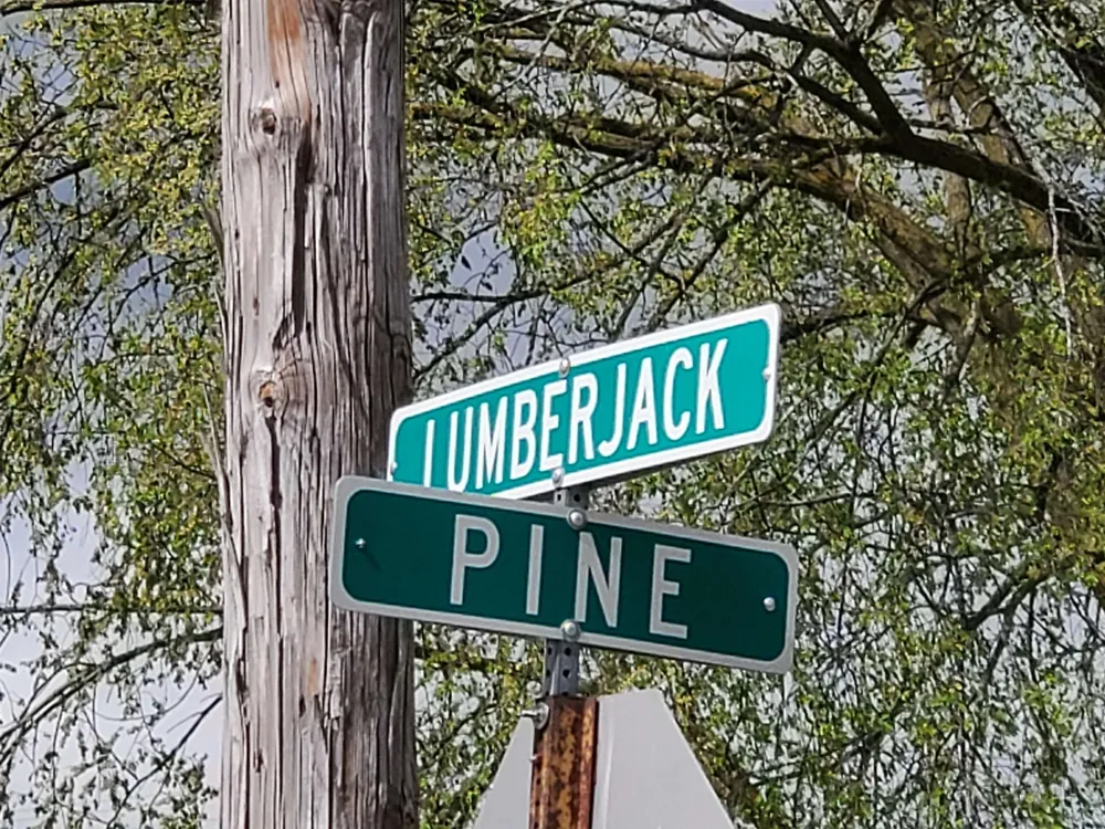 Lumberjack Road Seville Township, MI 48877