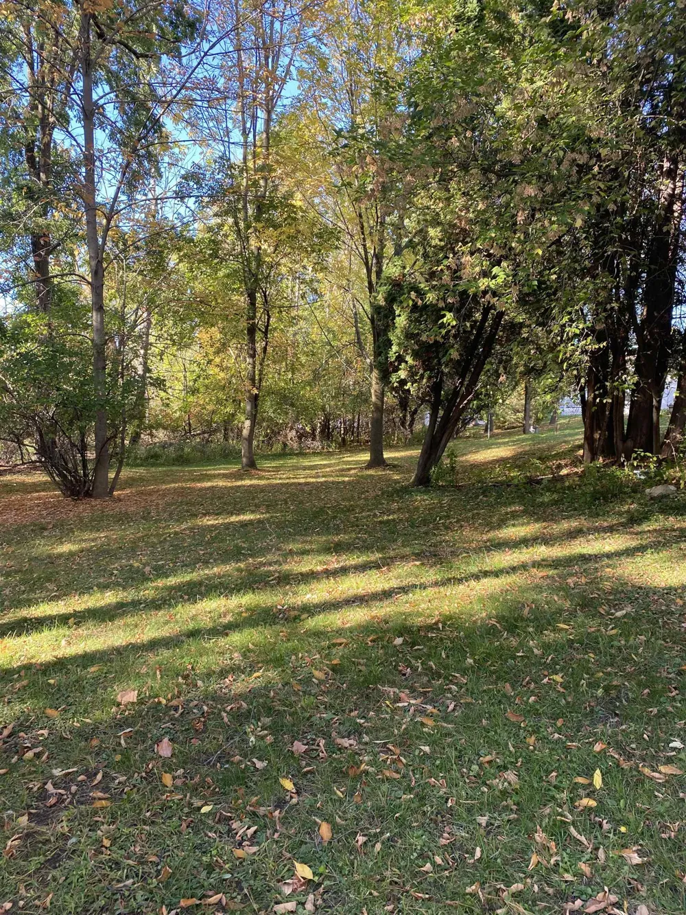 195 Fremont Street West Branch Township, MI 48661