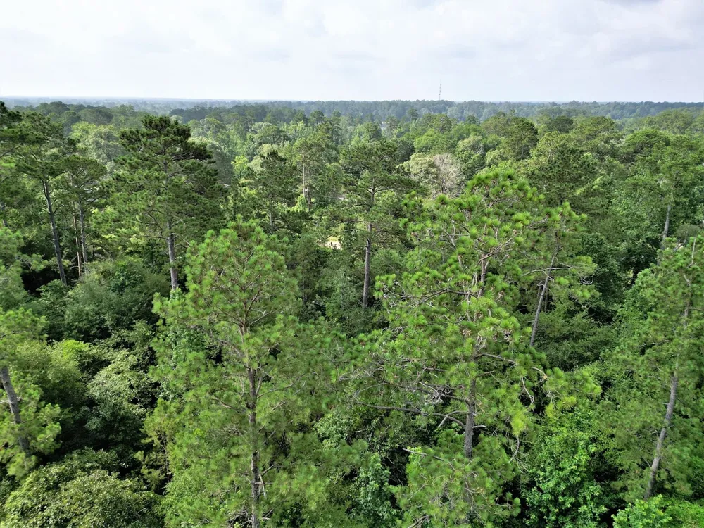 Sir Ewaine Drive Woodville, TX 75979