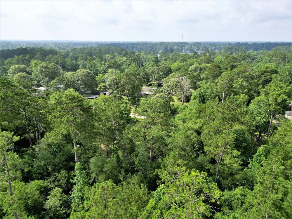 Sir Ewaine Drive Woodville, TX 75979