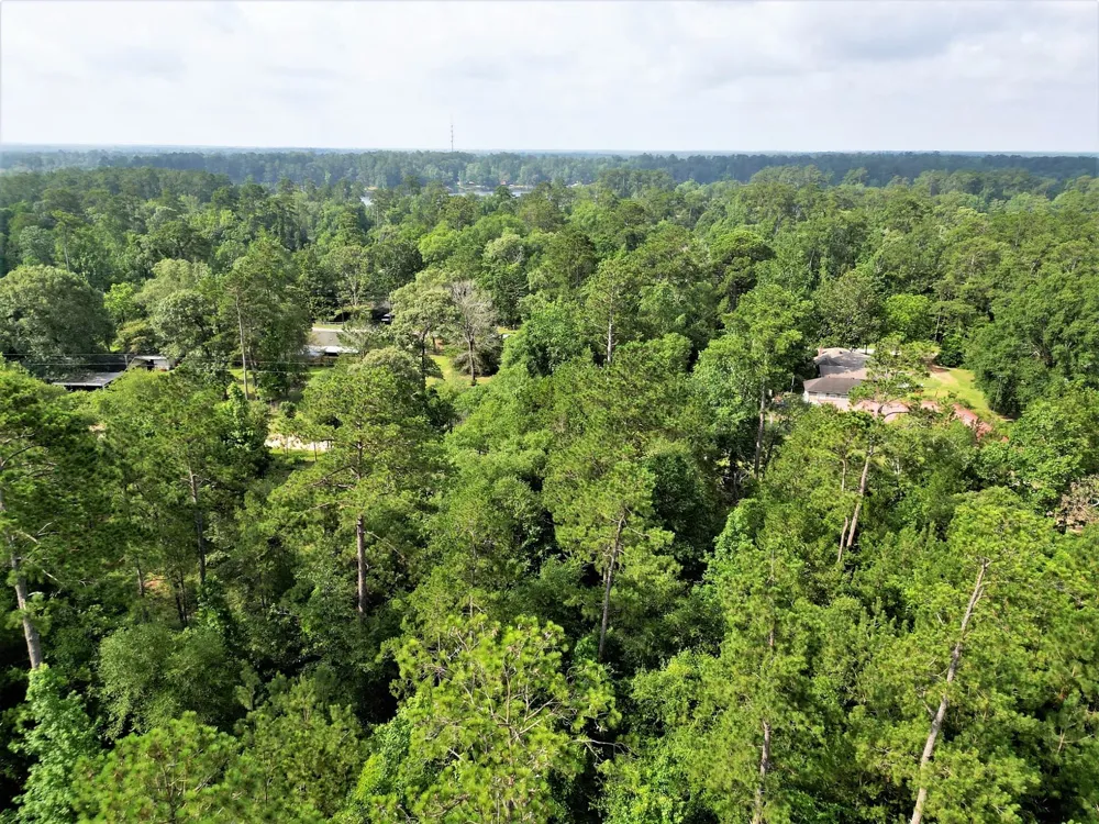Sir Ewaine Drive Woodville, TX 75979