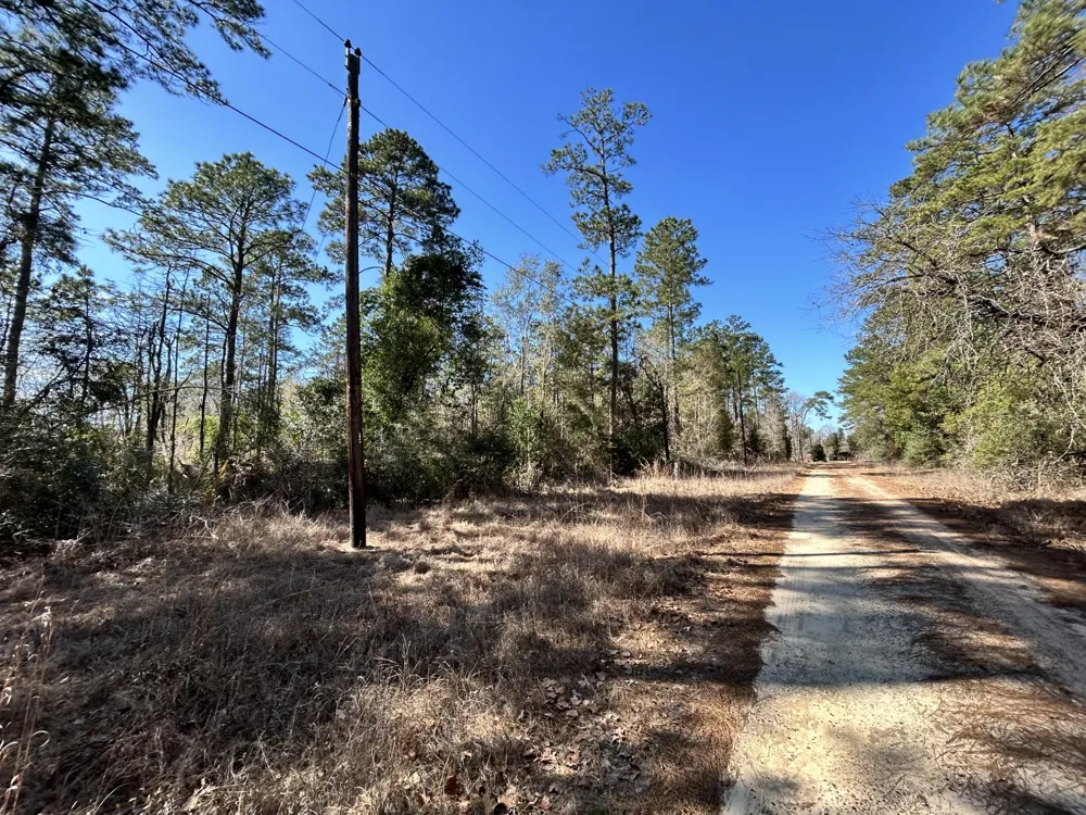 Sir Ewaine Drive Woodville, TX 75979