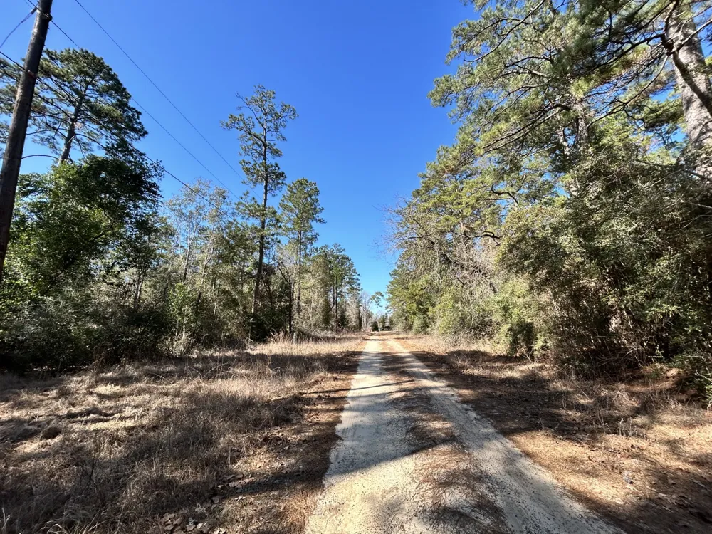 Sir Ewaine Drive Woodville, TX 75979
