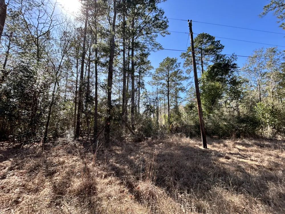 Sir Ewaine Drive Woodville, TX 75979