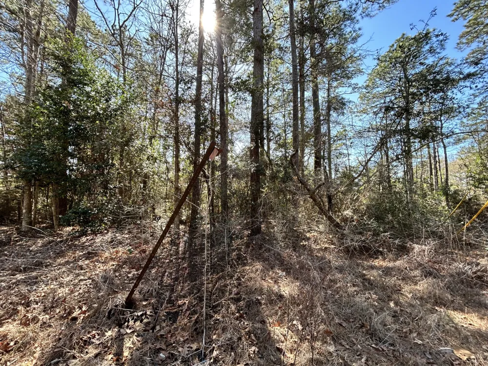 Sir Ewaine Drive Woodville, TX 75979
